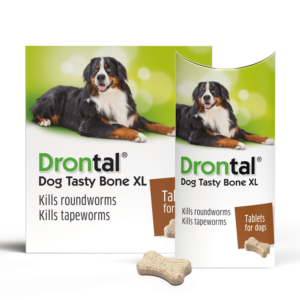 Drontal Tasty Bone XL Wormer Tablets 525/504/175mg - 2 Tablets